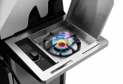 Alternative view of BARBACOA CARRO DISCOVERY 1200S C 4B