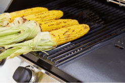 Alternative view of BARBACOA CARRO DISCOVERY 1200E C 3B
