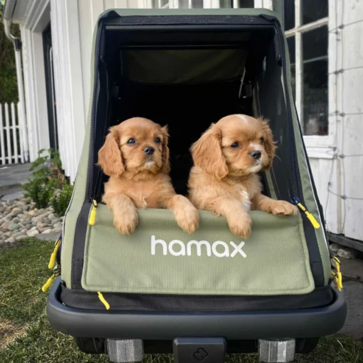 Remolque para perros Pluto M Hamax - Imagen 3